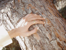 Load image into Gallery viewer, Michelle