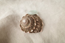 Load image into Gallery viewer, Green Jadeite Ring No. 001 - size 9.25
