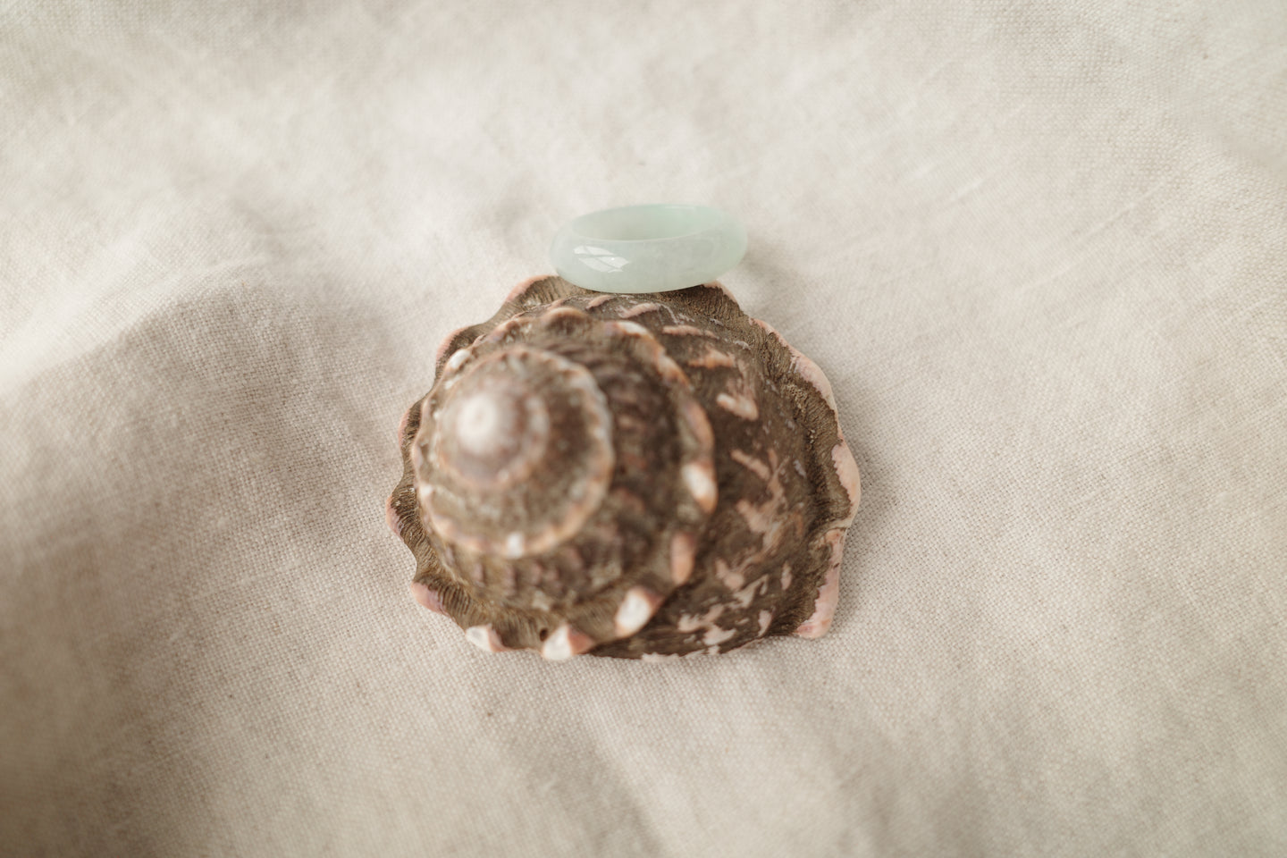 Green Jadeite Ring No. 001 - size 9.25