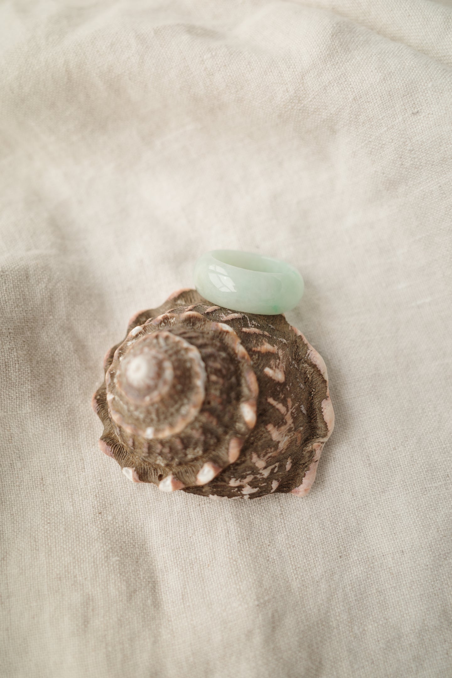 Green Jadeite Ring No. 004 - size 9.75