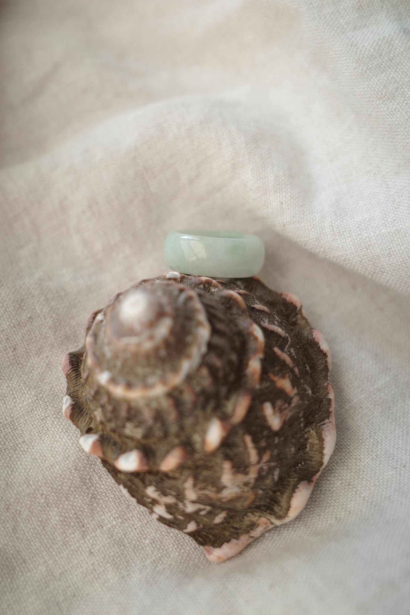 Jadeite Ring No. 004 - Size 6.5