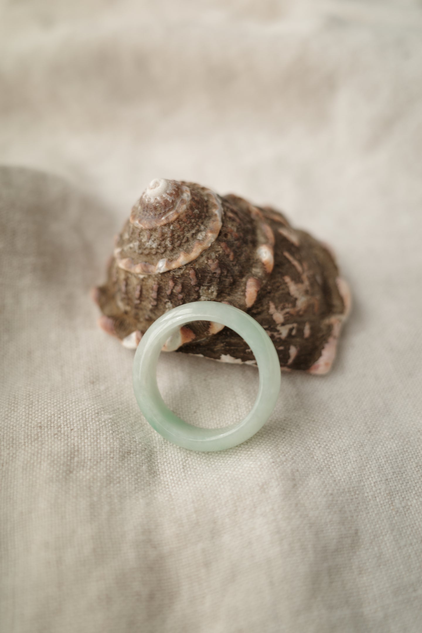 Green Jadeite Ring No. 002 - size 11