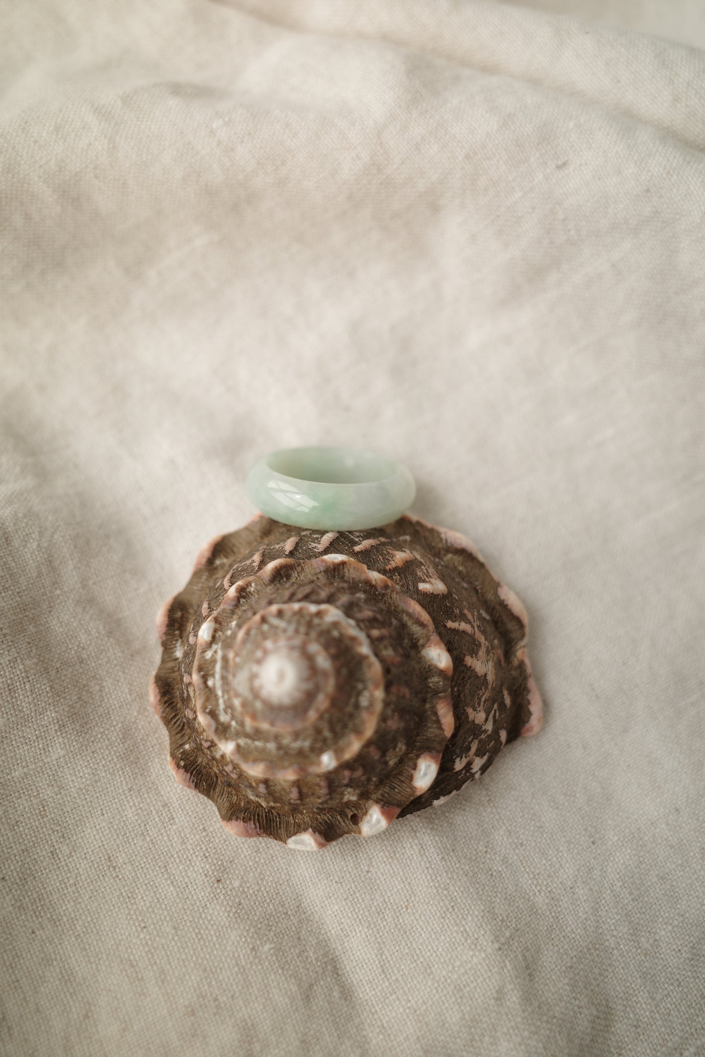 Green Jadeite Ring No. 003 - size 10.5