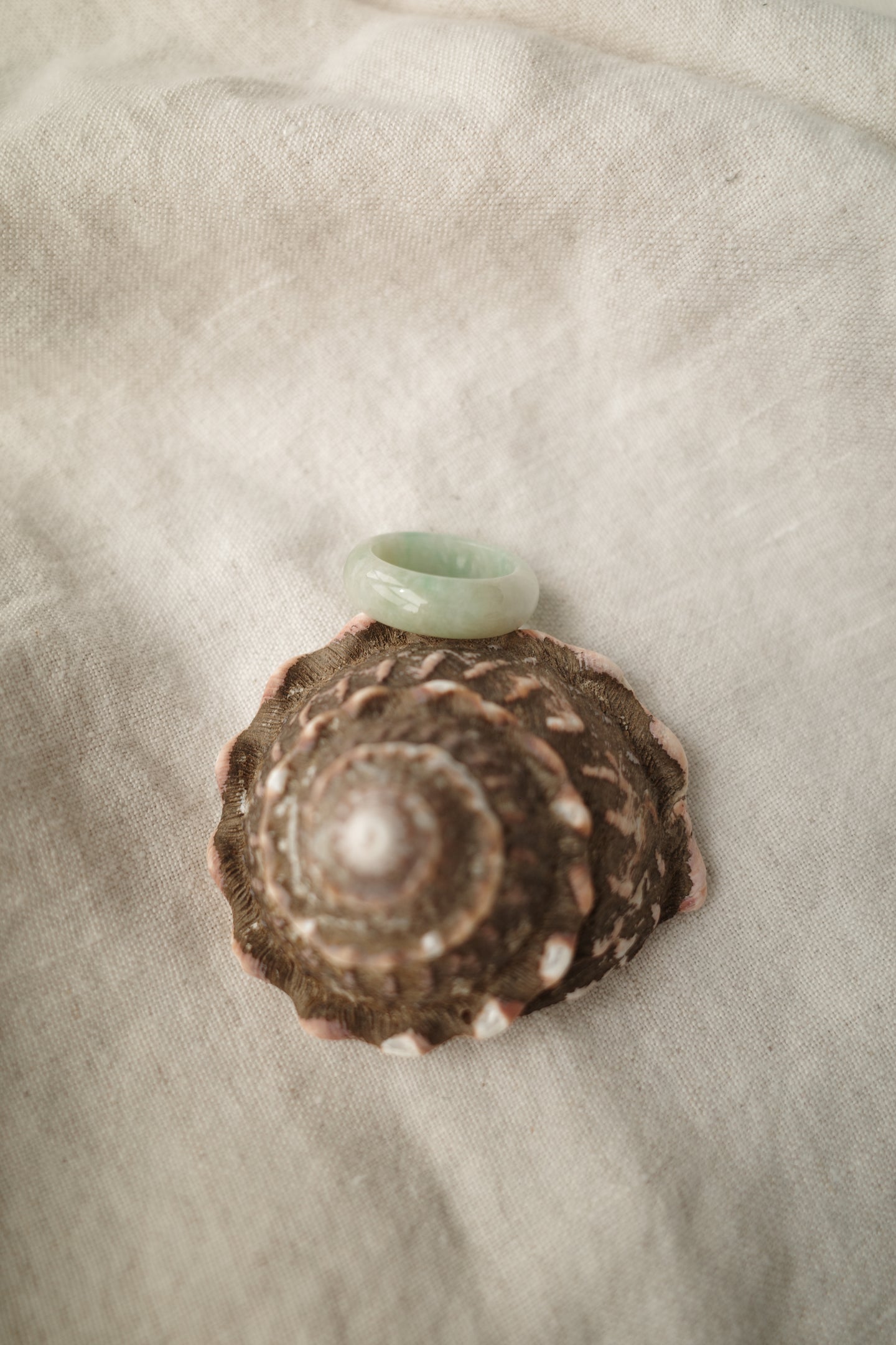 Jadeite Ring No. 007 - Size 7.5