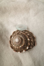 Load image into Gallery viewer, Green Jadeite Ring No. 004 - size 10.25
