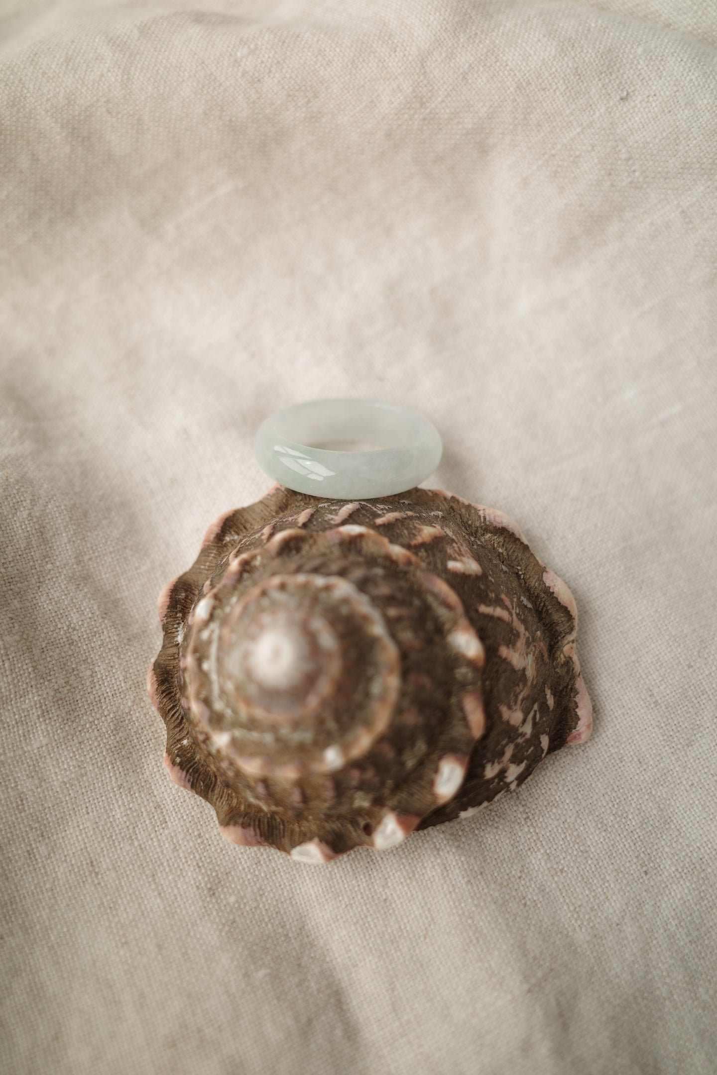 Green Jadeite Ring No. 004 - size 10.25