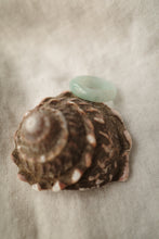 Load image into Gallery viewer, Green Jadeite Ring No. 002 - size 9
