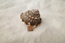 Load image into Gallery viewer, Prosperity Pendant
