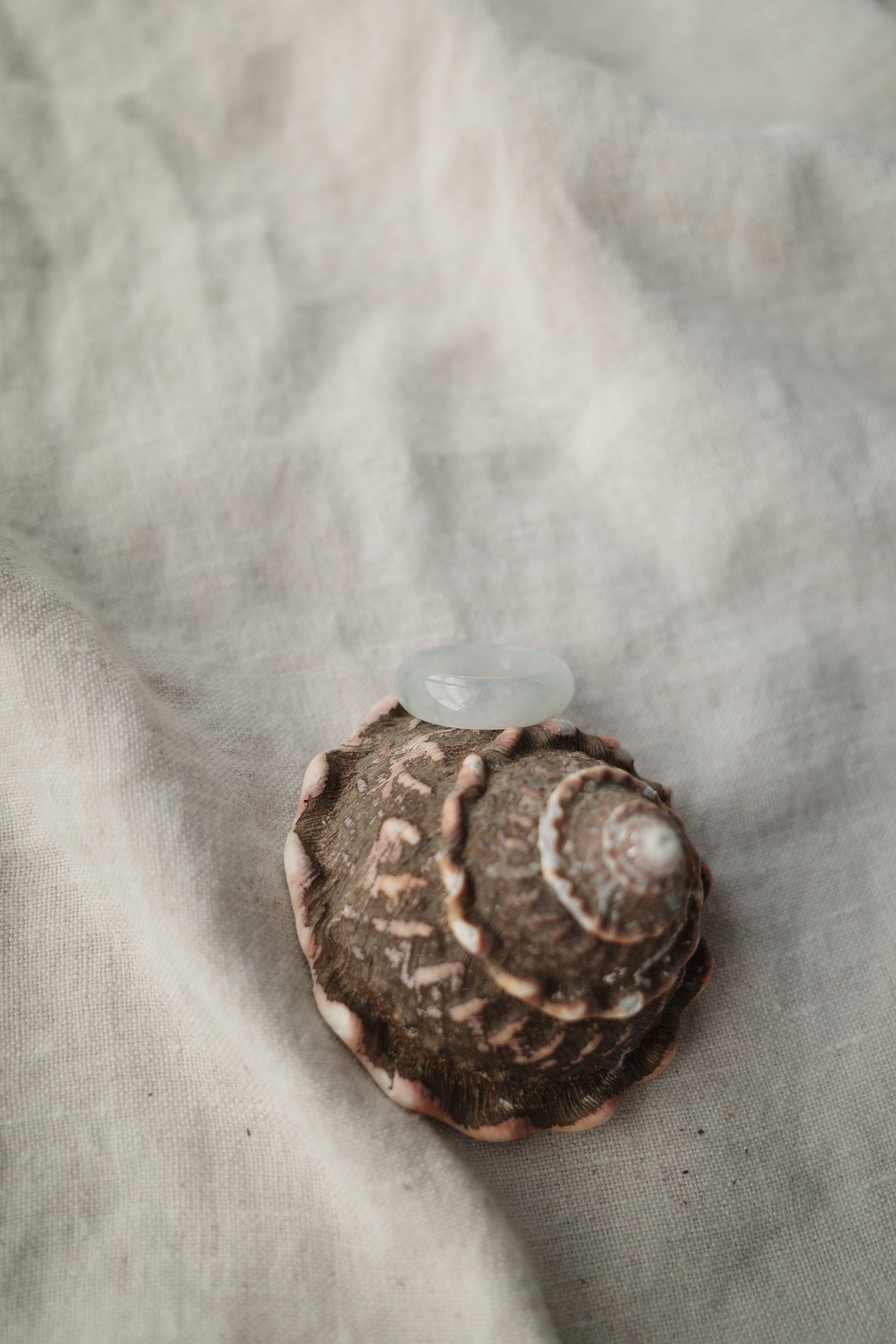 Green Jadeite Ring No.007 - size 8