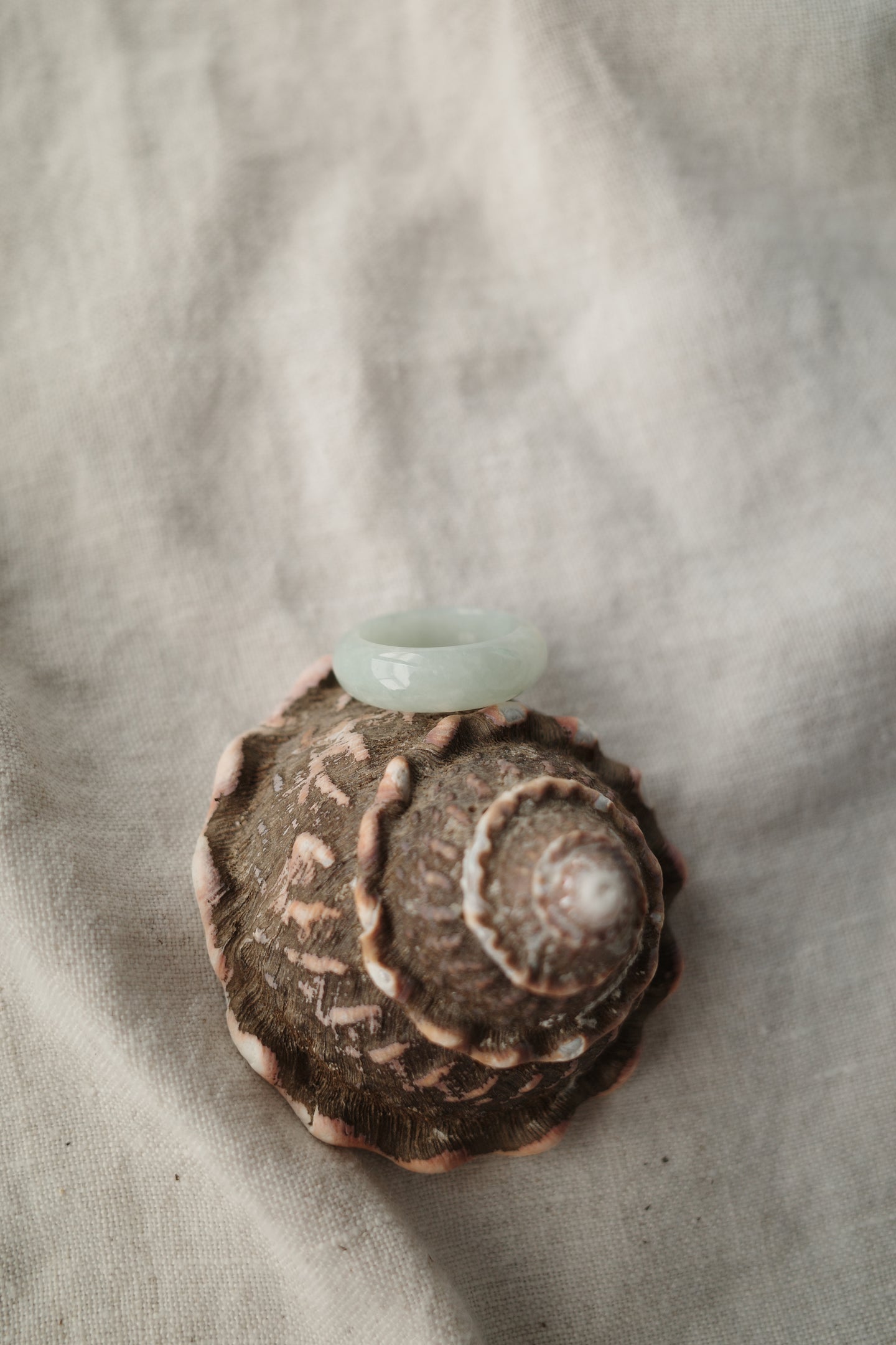 Green Jadeite Ring No.010 - size 8.75