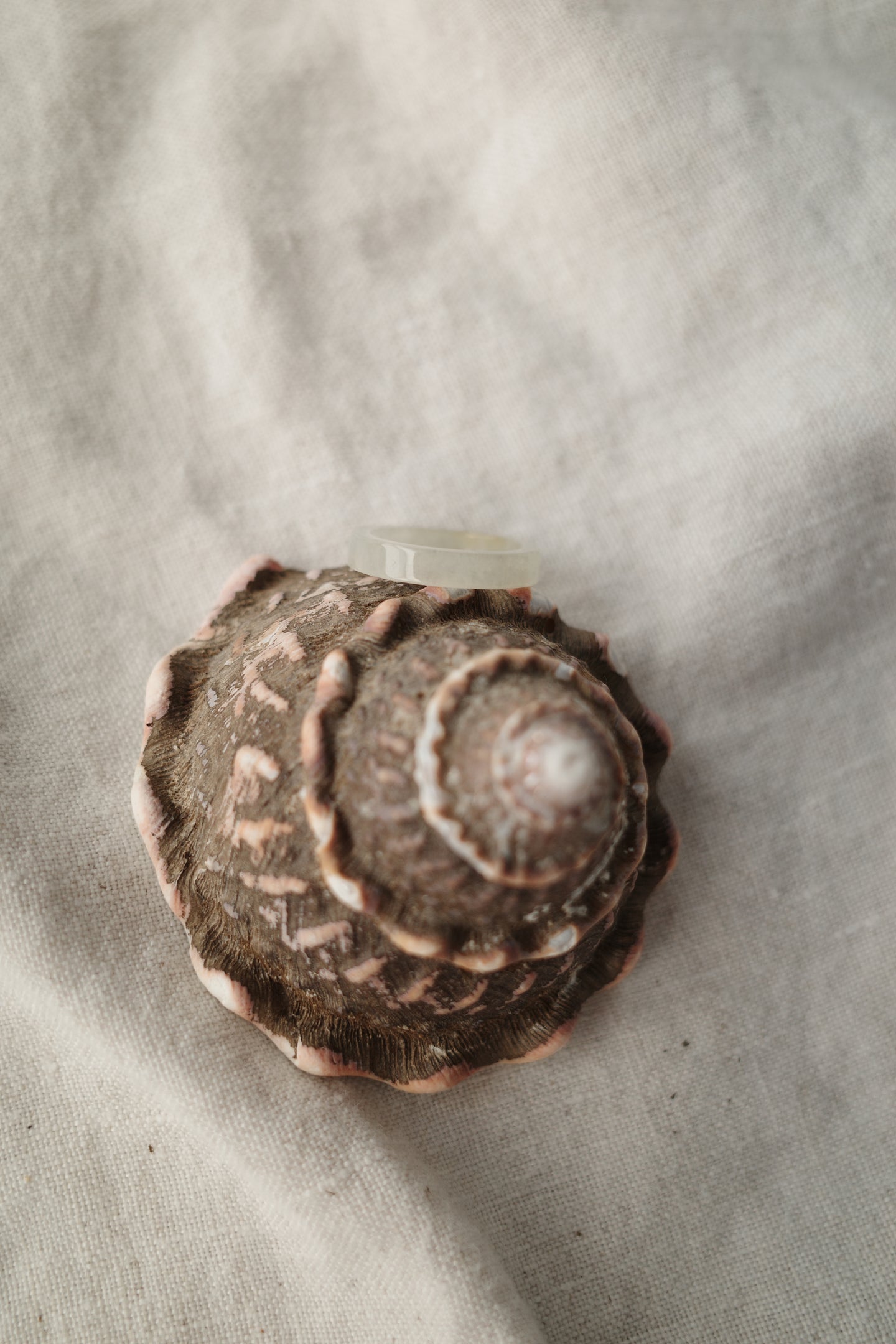 Jadeite Ring No. 003 - size 5