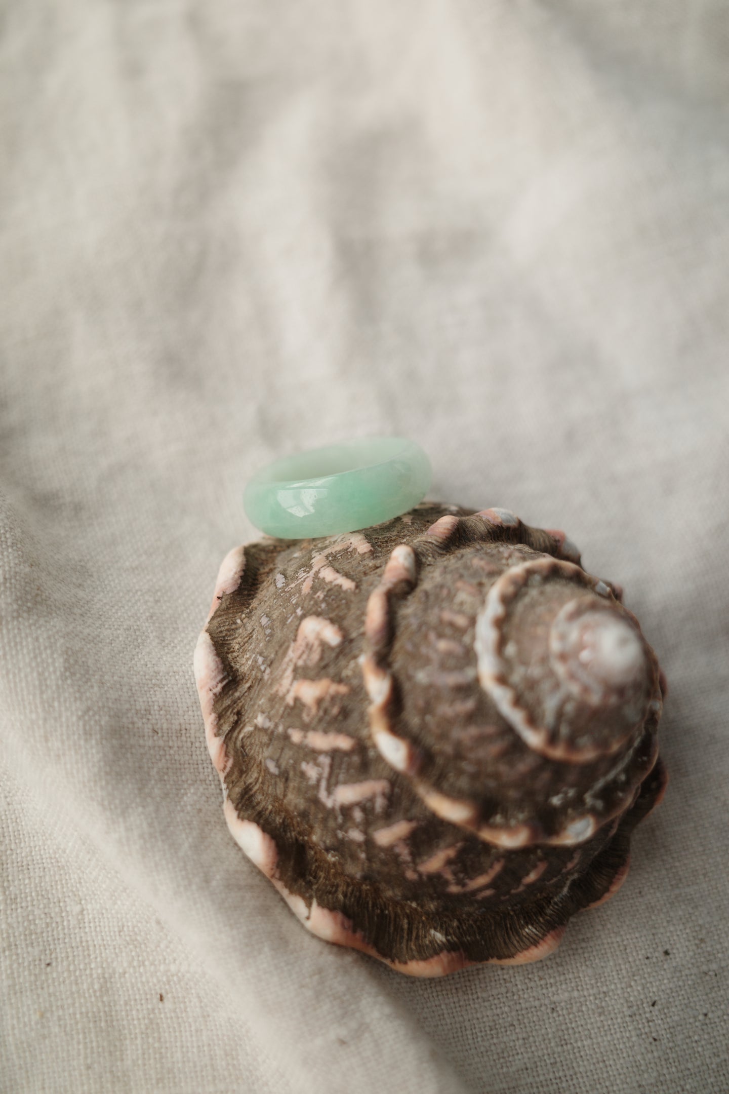 Jadeite Ring No. 008 - Size 7