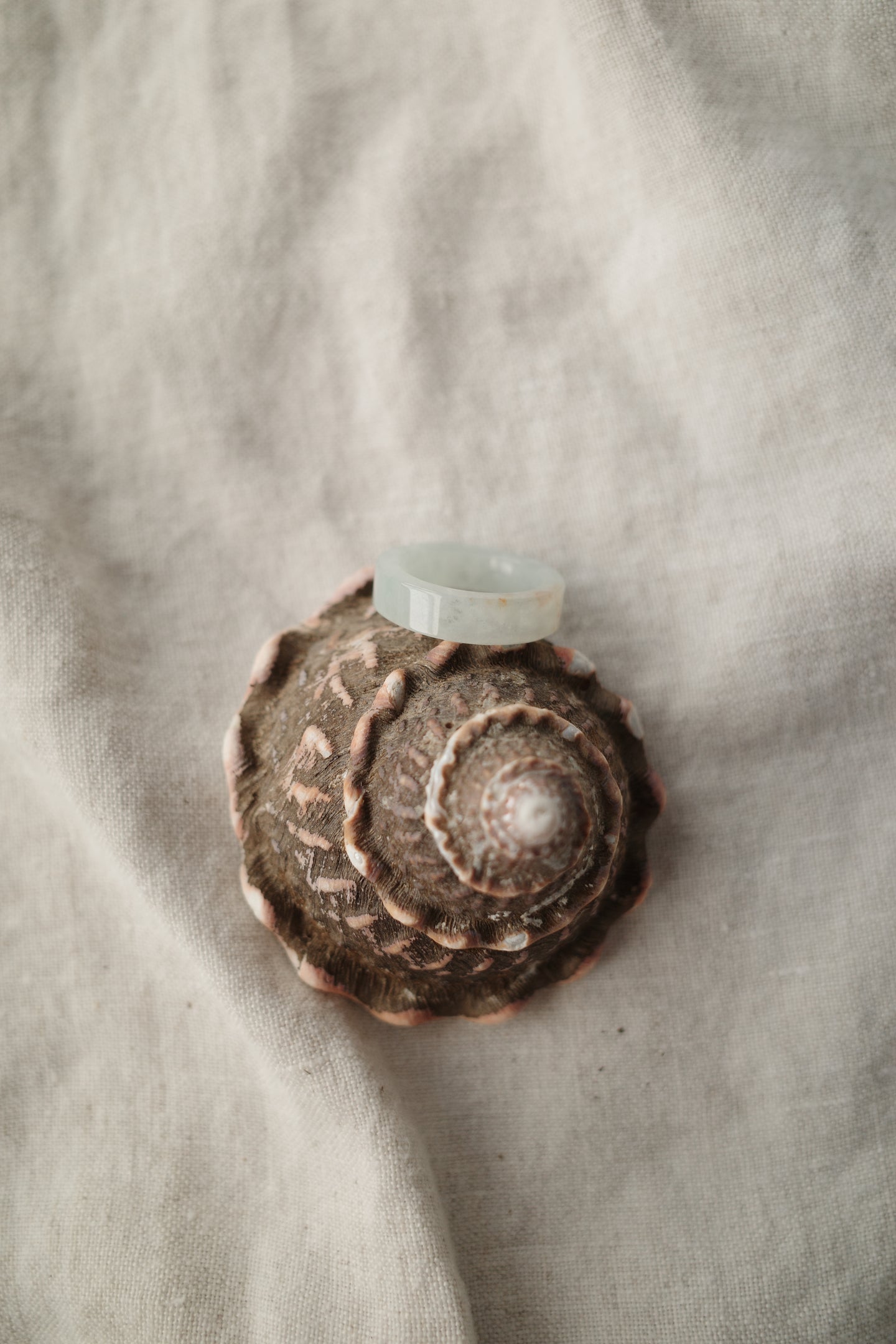 Jadeite Ring No. 009 - Size 7.25