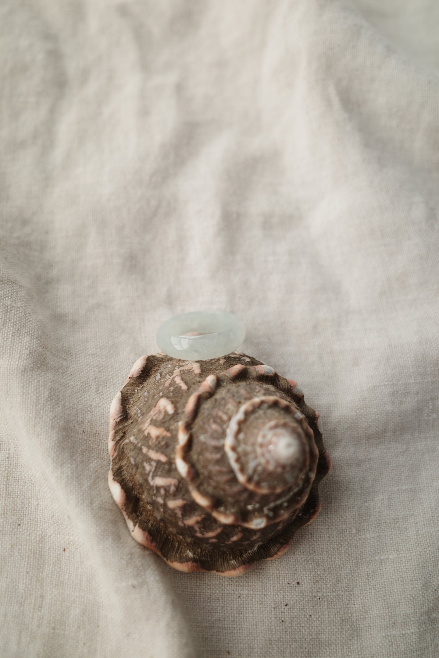 Jadeite Ring No. 010 - Size 7.25