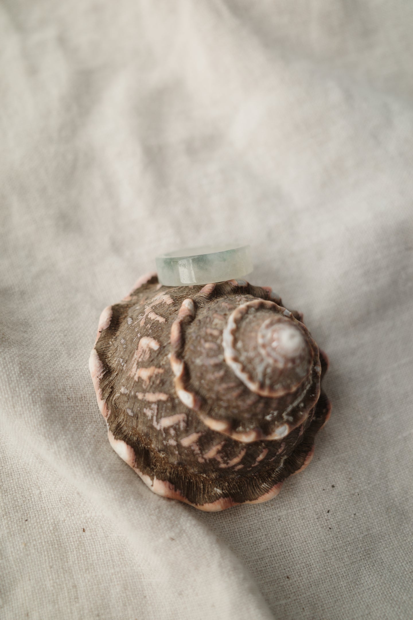 Jadeite Ring No. 012 - Size 7.5