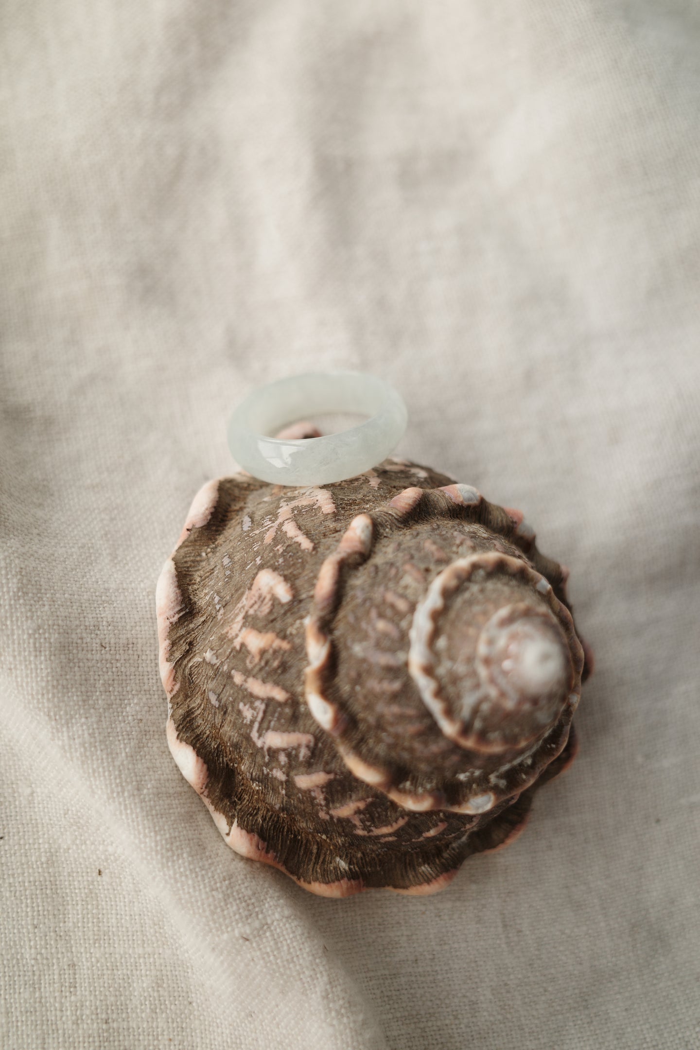 Jadeite Ring No. 014 - Size 7.5