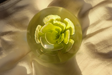 Load image into Gallery viewer, Flower Paperweight
